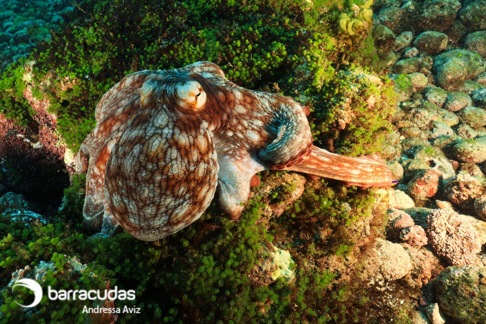 WhatsApp Image 2021-12-10 at 14.28.40.jpeg