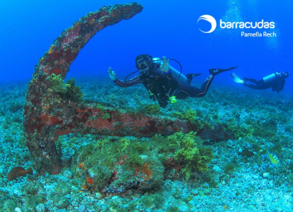 WhatsApp Image 2021-12-10 at 14.28.41 (1).jpeg